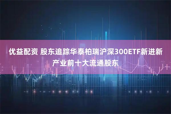 优益配资 股东追踪华泰柏瑞沪深300ETF新进新产业前十大流通股东