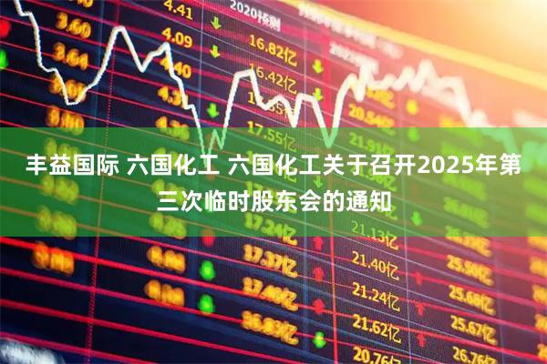 丰益国际 六国化工 六国化工关于召开2025年第三次临时股东会的通知