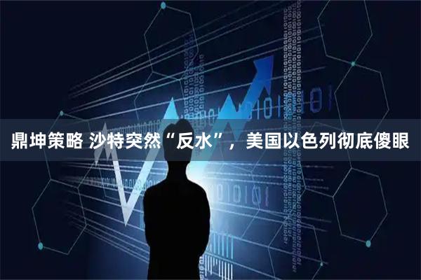 鼎坤策略 沙特突然“反水”，美国以色列彻底傻眼